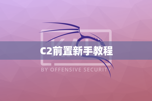 C2前置新手教程