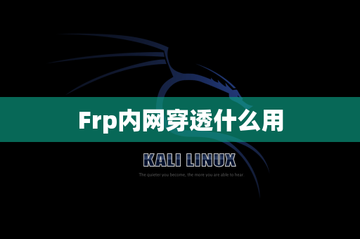 Frp内网穿透什么用