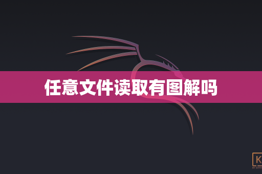 任意文件读取有图解吗