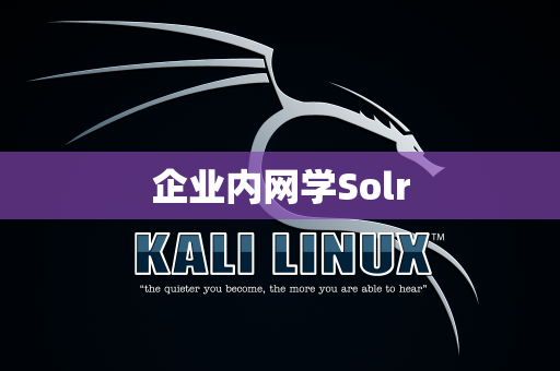企业内网学Solr