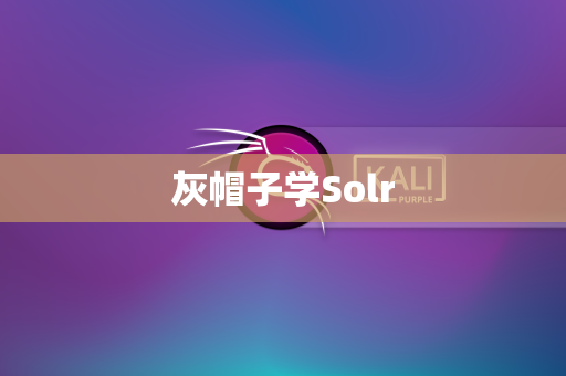 灰帽子学Solr