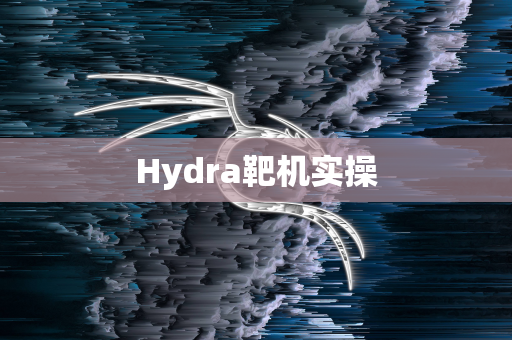 Hydra靶机实操