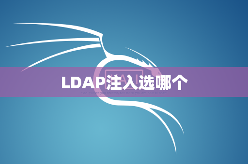 LDAP注入选哪个