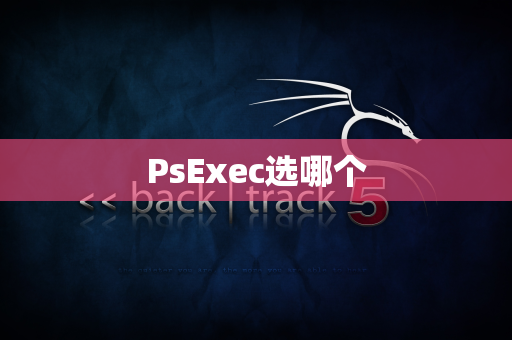 PsExec选哪个