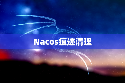 Nacos痕迹清理