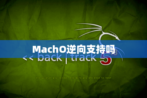 MachO逆向支持吗
