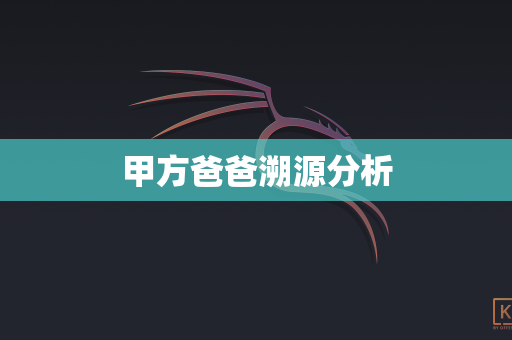 甲方爸爸溯源分析