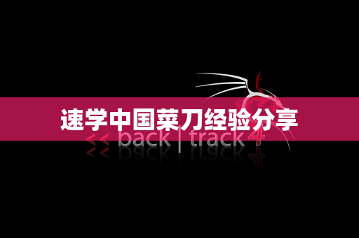 速学中国菜刀经验分享