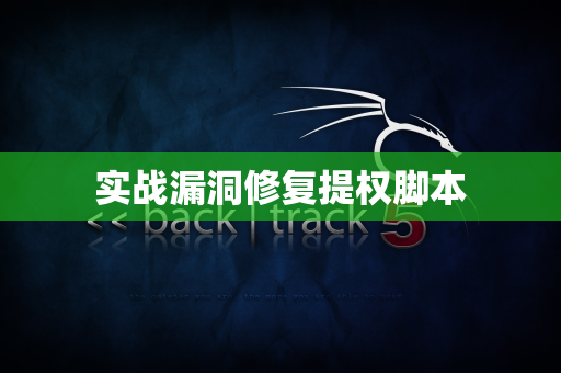 实战漏洞修复提权脚本