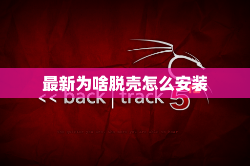 最新为啥脱壳怎么安装