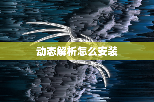 动态解析怎么安装