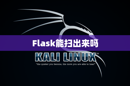 Flask能扫出来吗
