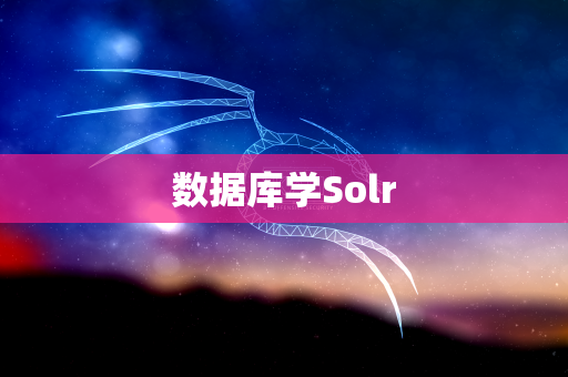 数据库学Solr