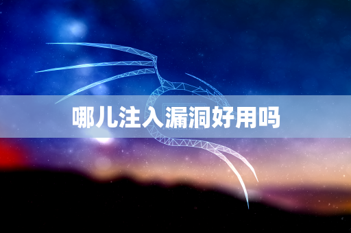 哪儿注入漏洞好用吗