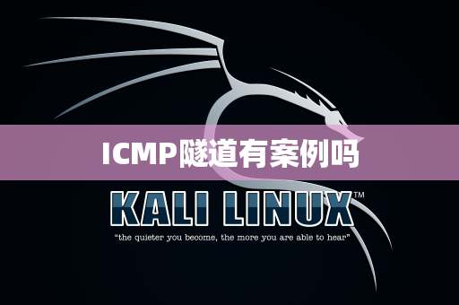 ICMP隧道有案例吗