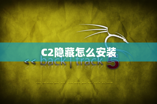 C2隐藏怎么安装