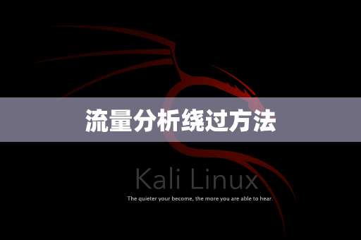 流量分析绕过方法