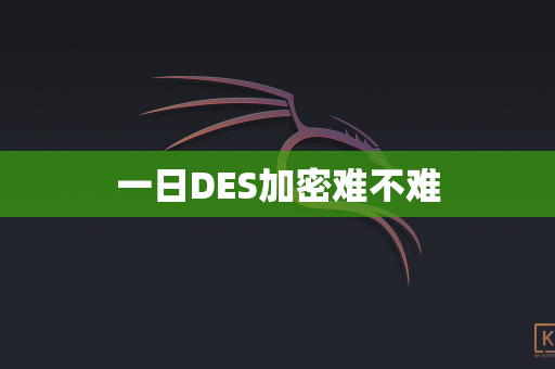一日DES加密难不难