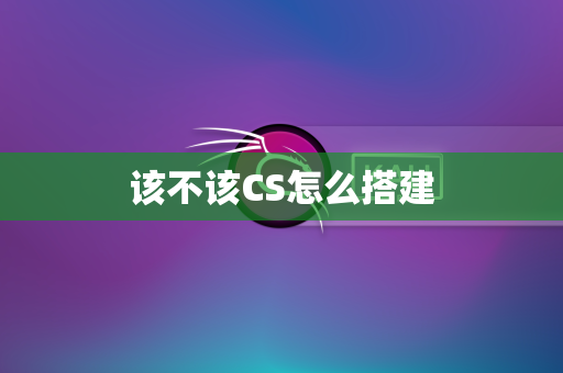 该不该CS怎么搭建