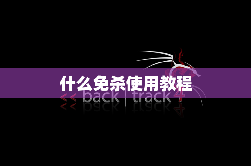 什么免杀使用教程