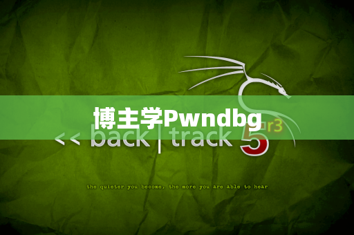 博主学Pwndbg