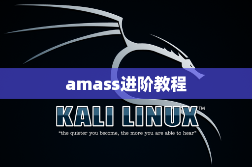amass进阶教程