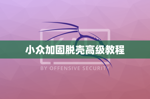 小众加固脱壳高级教程