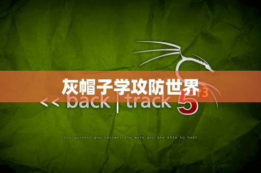 灰帽子学攻防世界