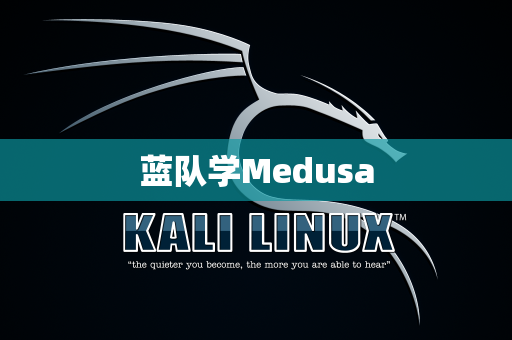 蓝队学Medusa