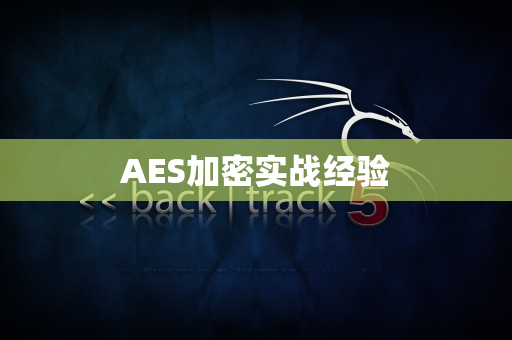 AES加密实战经验