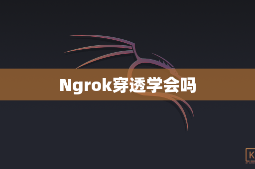 Ngrok穿透学会吗