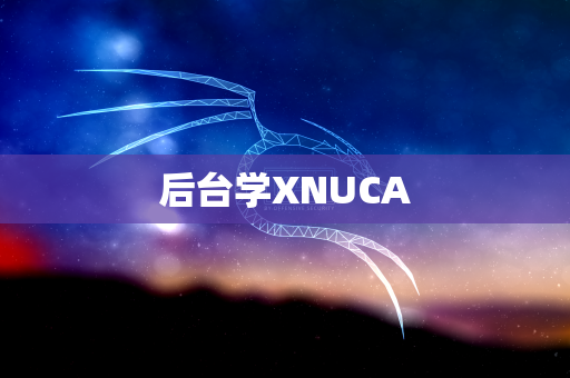后台学XNUCA