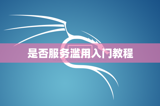 是否服务滥用入门教程