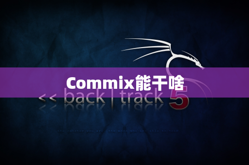 Commix能干啥