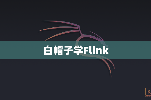 白帽子学Flink