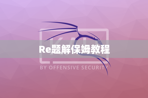 Re题解保姆教程