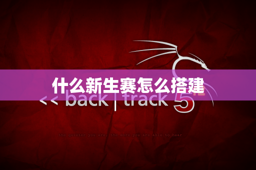 什么新生赛怎么搭建