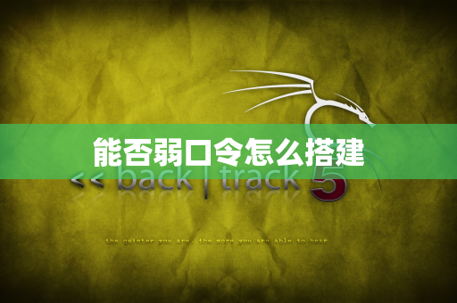 能否弱口令怎么搭建