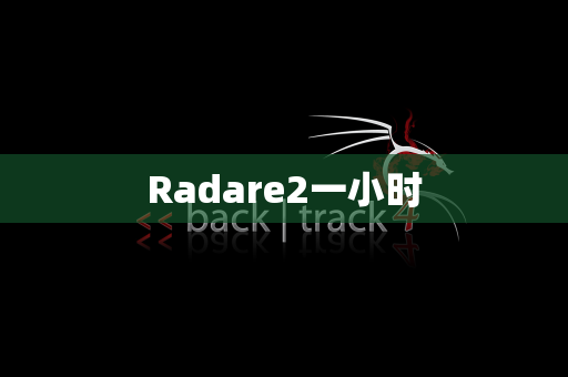 Radare2一小时