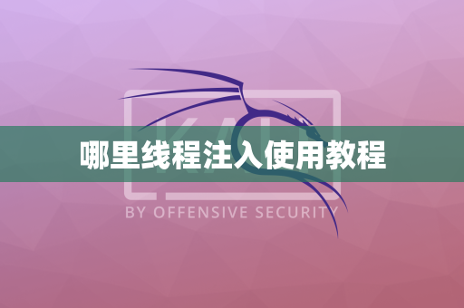 哪里线程注入使用教程