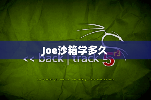 Joe沙箱学多久