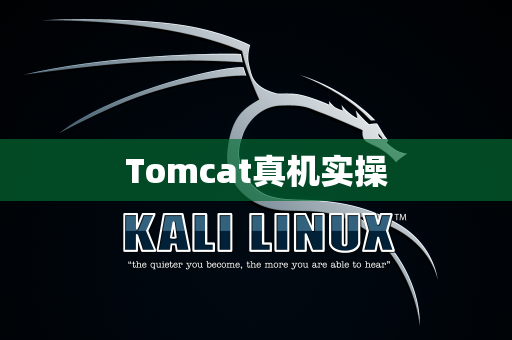 Tomcat真机实操