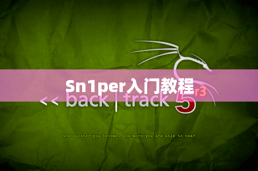 Sn1per入门教程