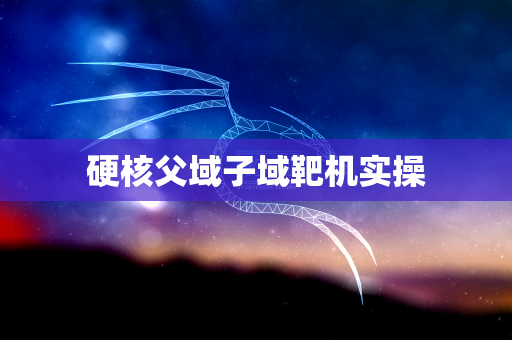 硬核父域子域靶机实操