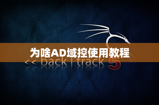 为啥AD域控使用教程