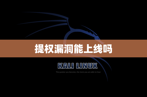 提权漏洞能上线吗