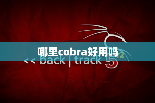 哪里cobra好用吗