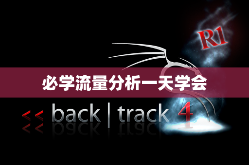 必学流量分析一天学会