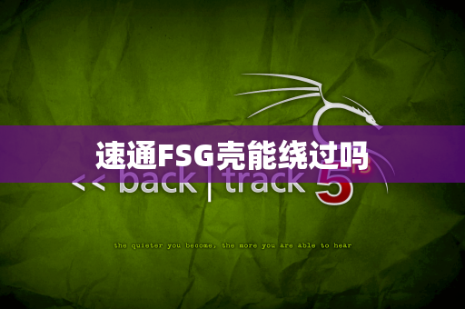 速通FSG壳能绕过吗