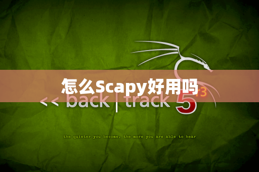 怎么Scapy好用吗